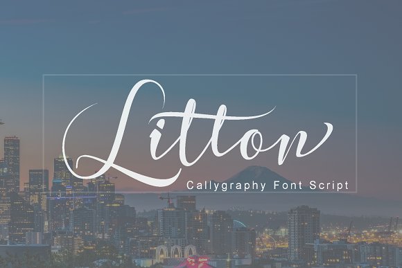 Litton Font插图