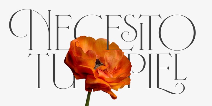 Fleur Typeface插图4