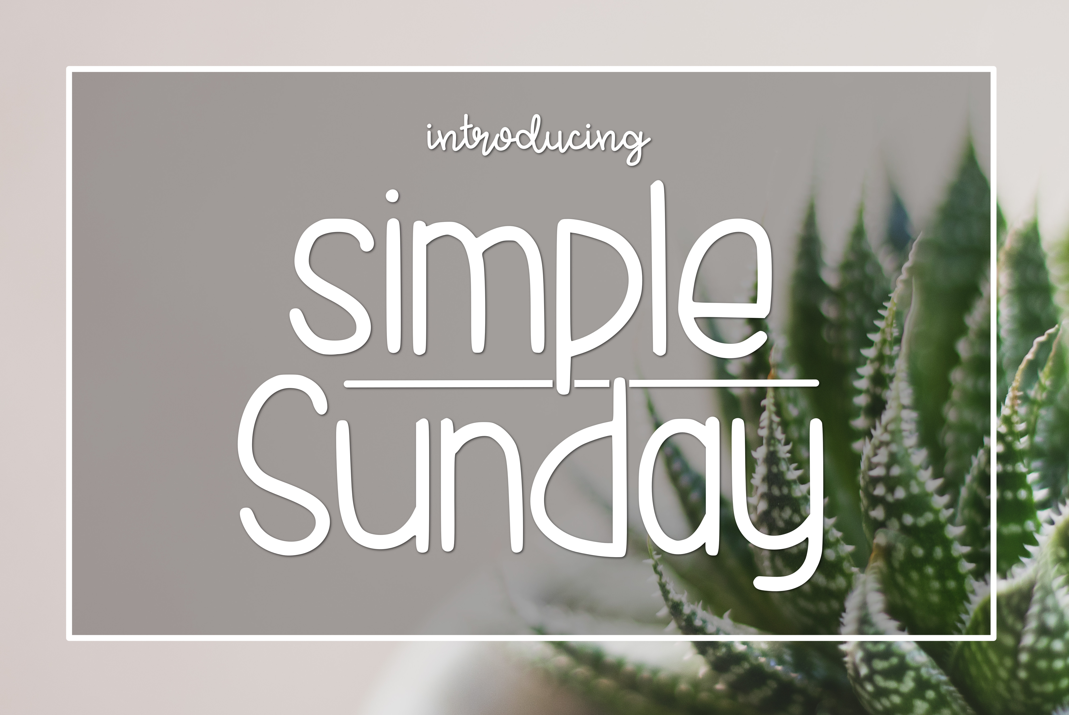 Simple Sunday插图
