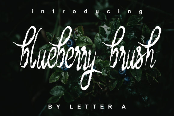 Blueberry Brush Font插图