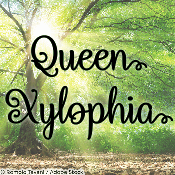 Queen Xylophia font插图