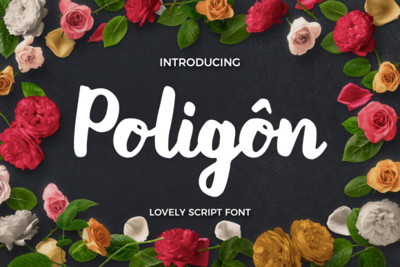 Poligon Font插图