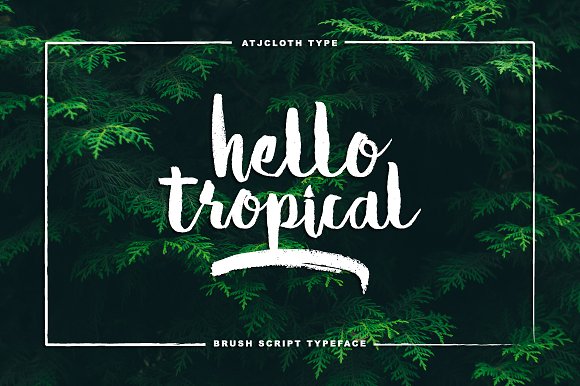 Hello Tropical插图