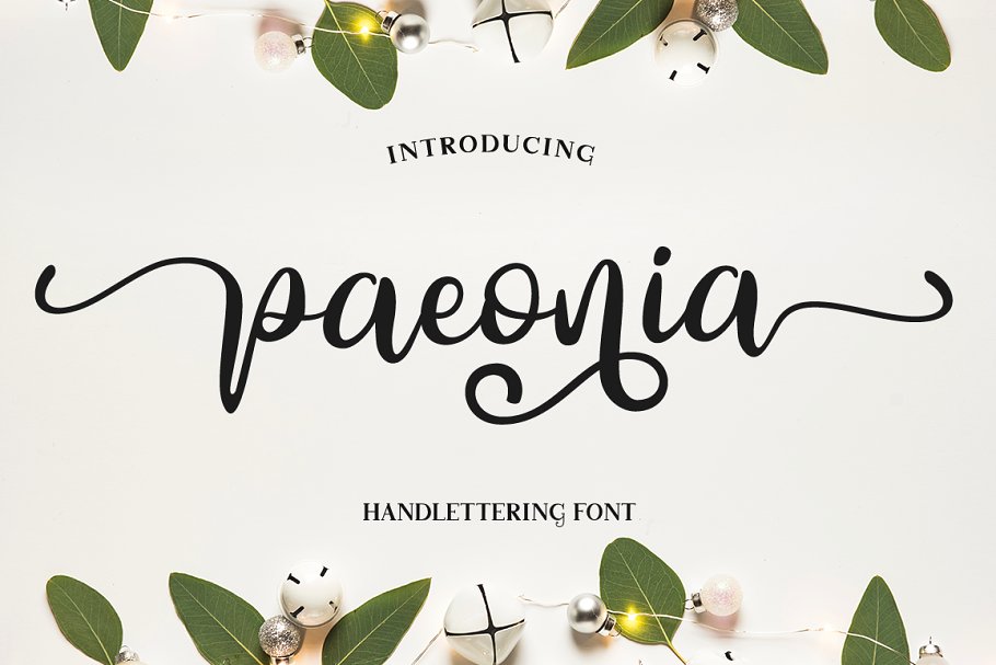 Paeonia Font插图