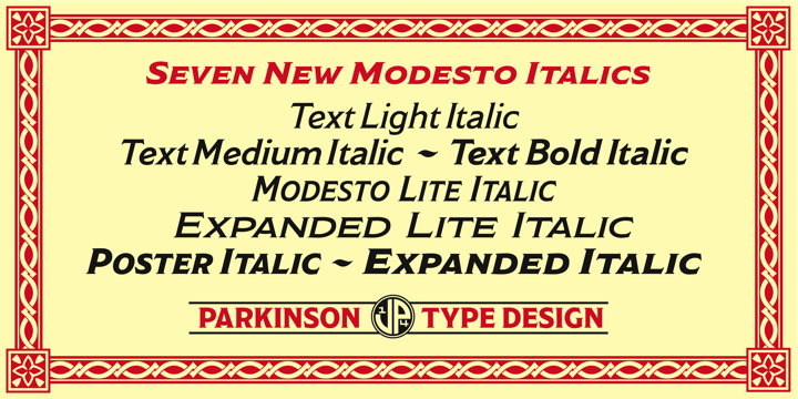 Modesto Font Family插图4