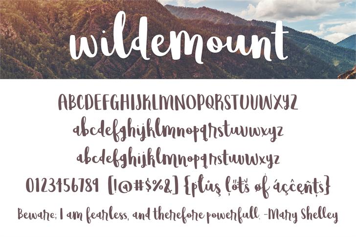 Wildemount font插图1