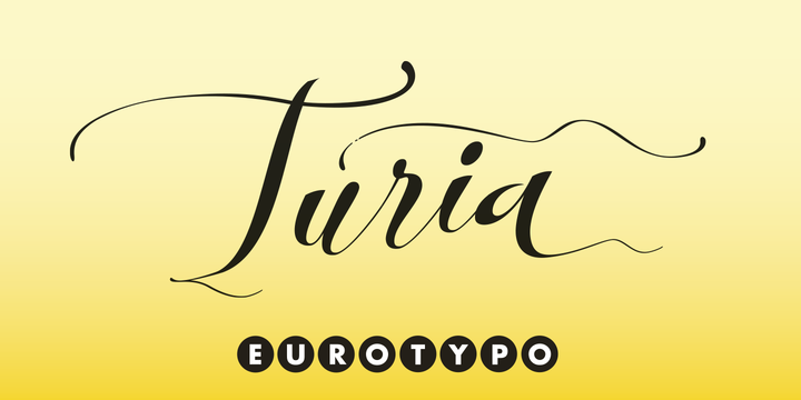 Turia Font插图5