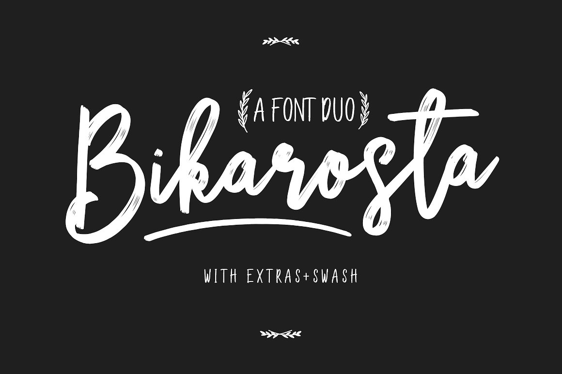 Bikarosta Font Duo with Extras插图