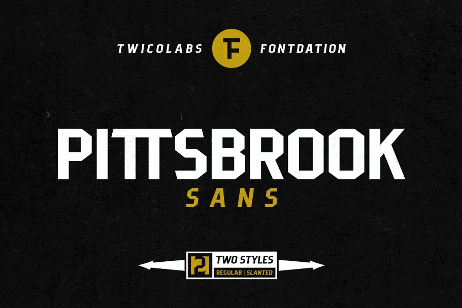 Pittsbrook Sans Font插图