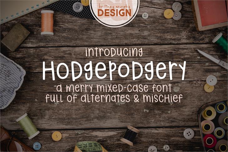 hodgepodgery font插图