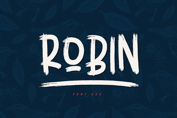 Robin Font插图