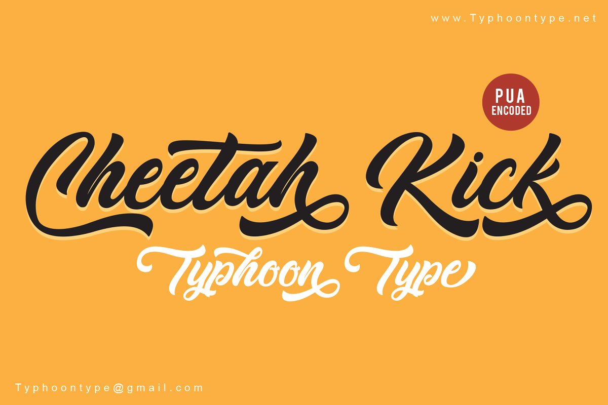 Cheetah Kick font插图