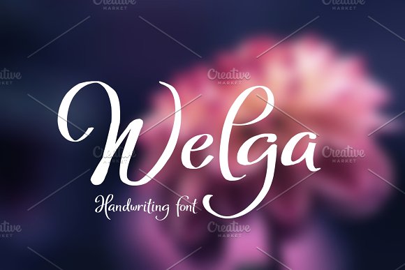 Welga Font插图