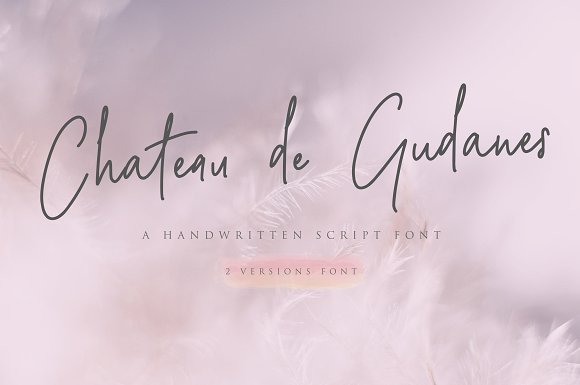 Chateau de Gudanes • 2 Elegant Fonts插图