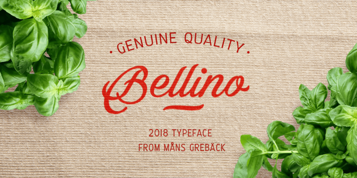 Bellino Font Family插图