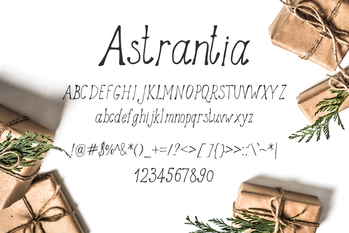 Astrantia Font插图1