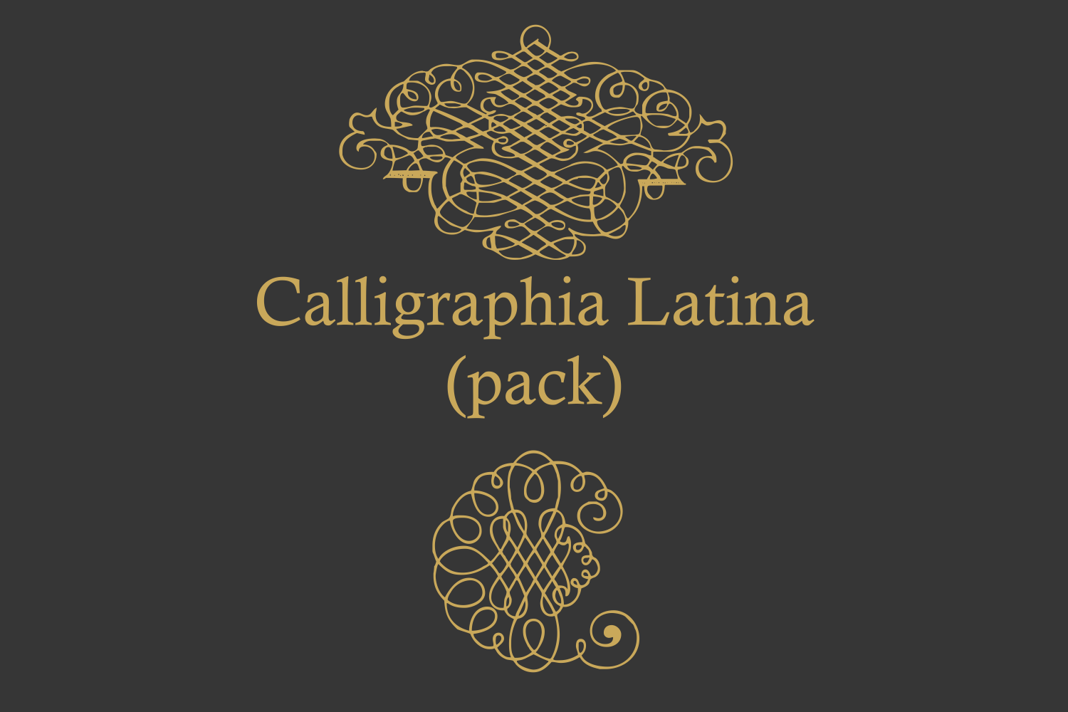 Calligraphia Latina Pack Other Font插图2