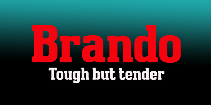 Brando Font Family by Studio K插图
