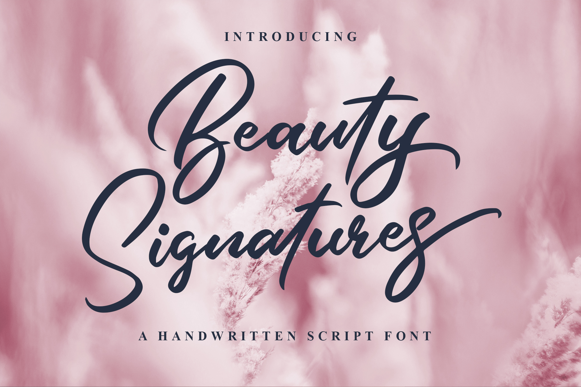 Beauty Signatures插图