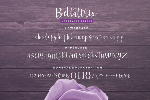 Bellattrix Font插图5
