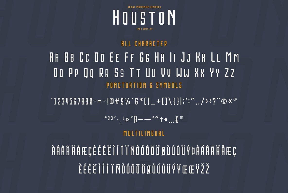 Houston Font Family插图3