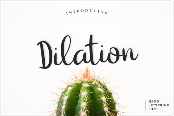 Dilation Font插图