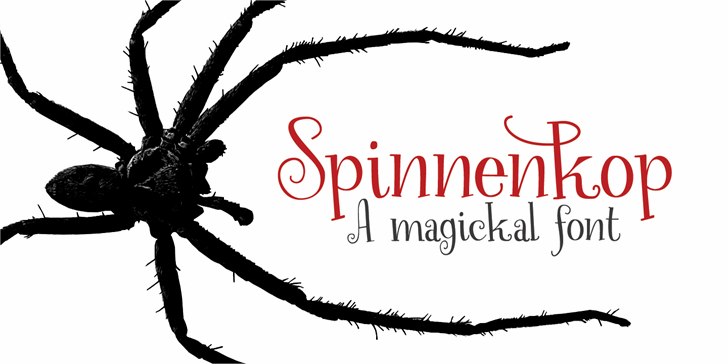 Spinnenkop DEMO font插图