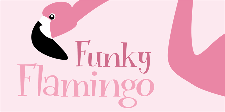Funky Flamingo DEMO font插图