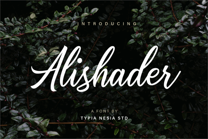 Alishader Demo font插图