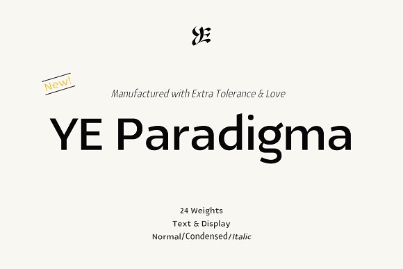 YE Paradigma Font插图