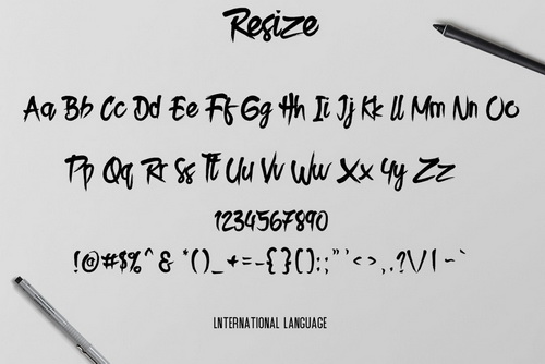 Resize Font插图2