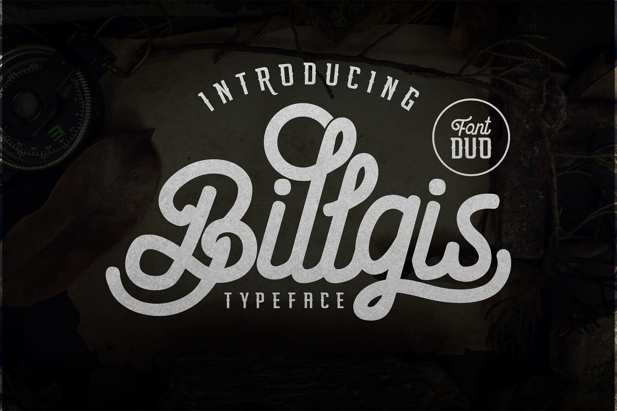 Billgis Font Duo插图