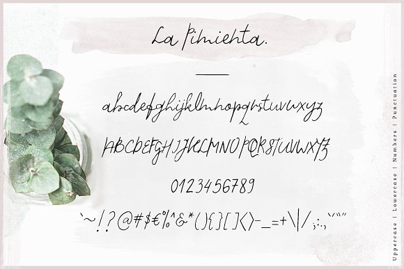 La Pimienta. Font插图4