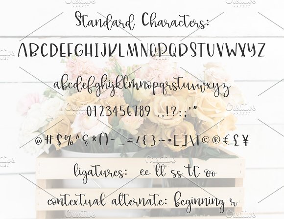 lillie belle hand lettered font插图4