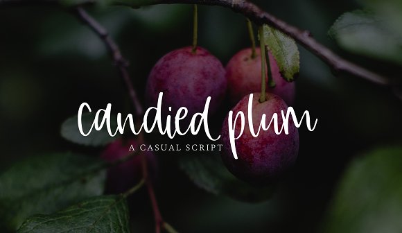 Candied Plum Font插图