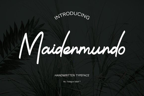 Maidenmundo typeface插图