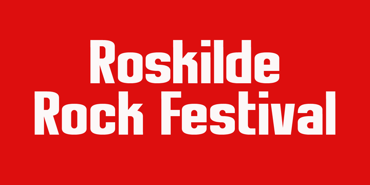 Roskilde Font Family插图