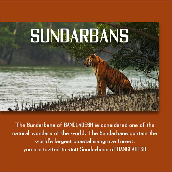Sundarbans font插图3