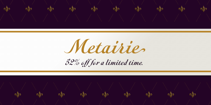 Metairie Font Family插图
