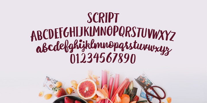 Le Gourmet Font Family插图3