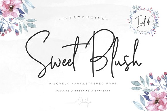Sweet Blush Font Family插图