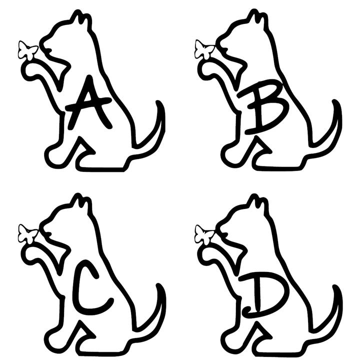 Ks Alphacat font插图