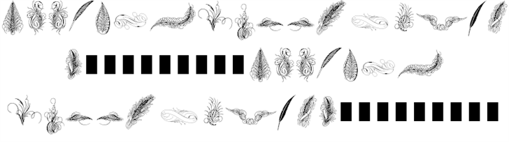 Penmanship Feathers font插图1