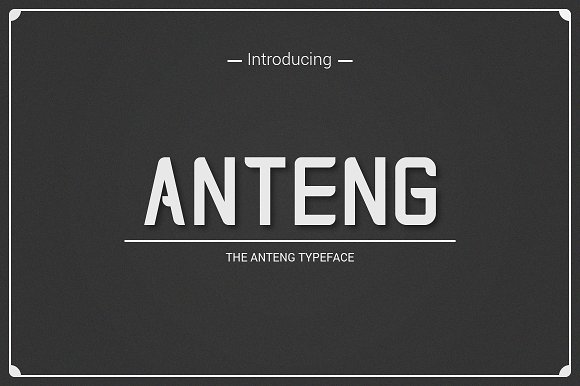 Anteng | Dual Width Font插图
