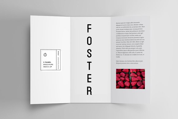 FOSTER – Amazing Display Typeface Font插图4