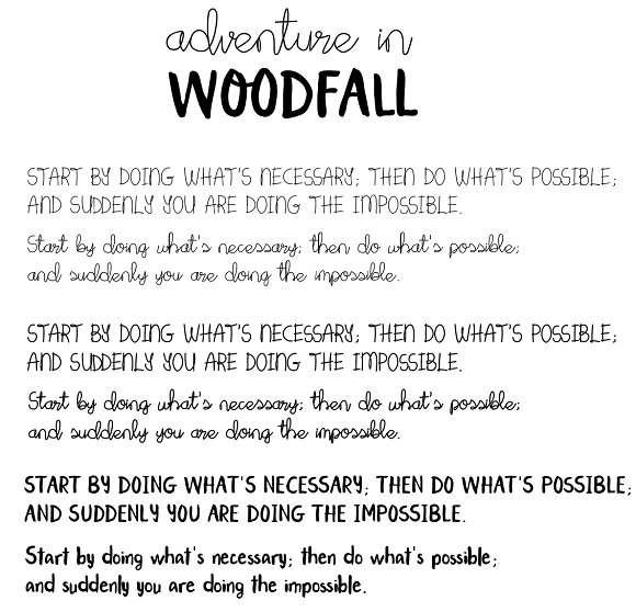 Adventure in Woodfall – Font Duo插图4