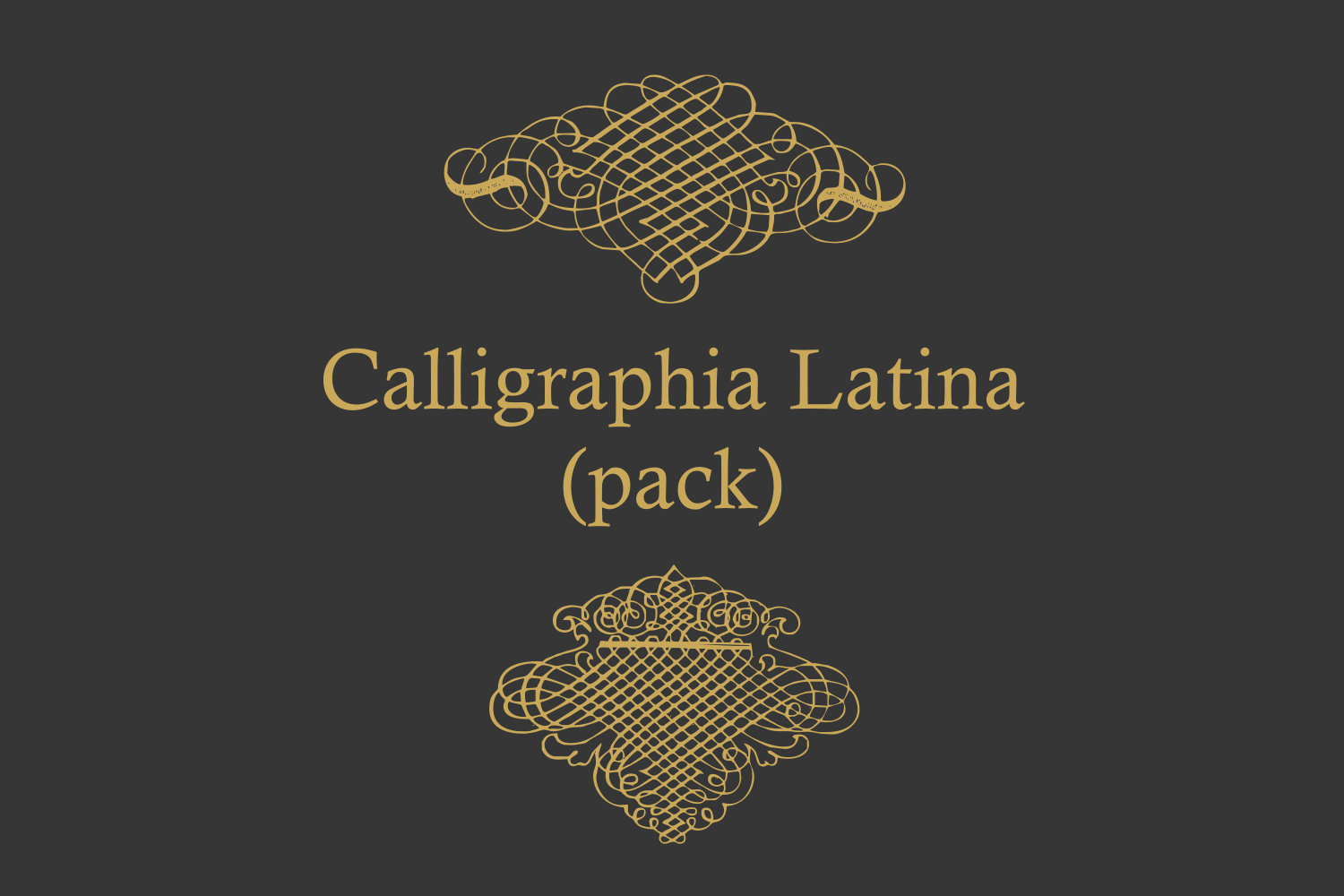 Calligraphia Latina Pack Other Font插图1