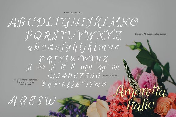 Amoretta Font插图6