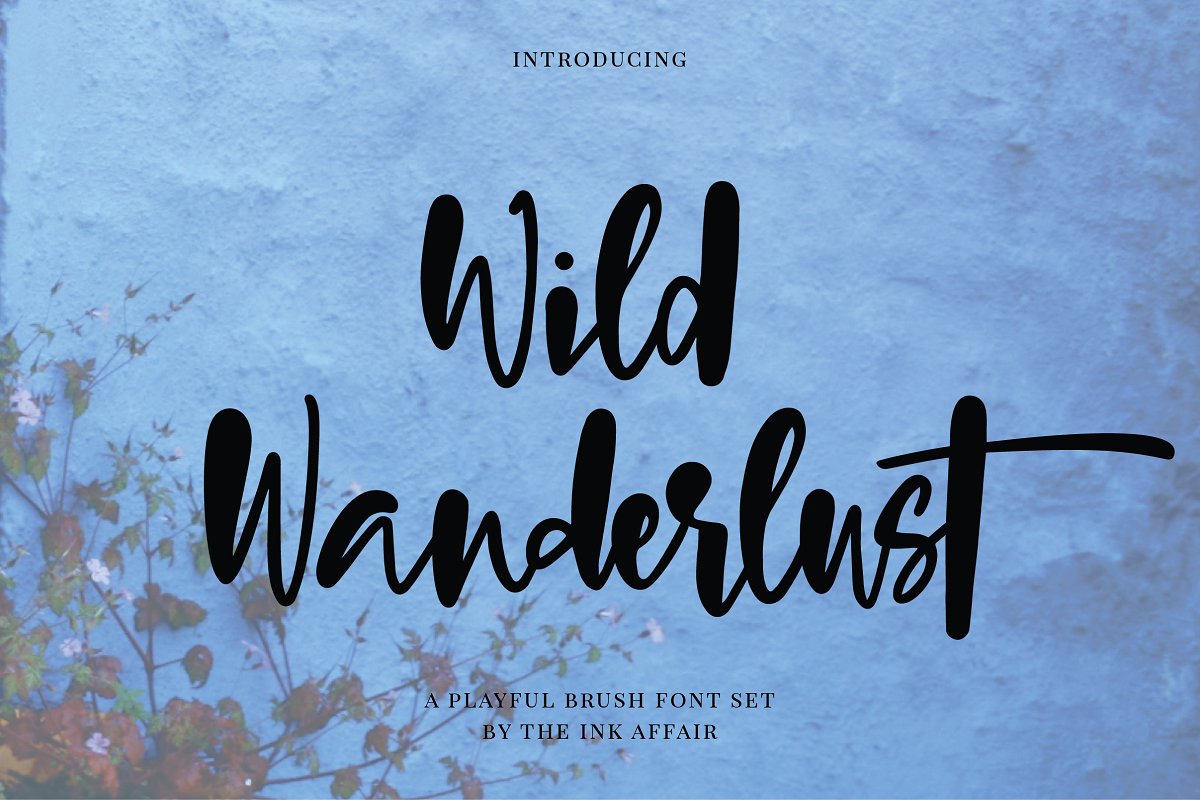 Wild Wanderlust Font Set插图