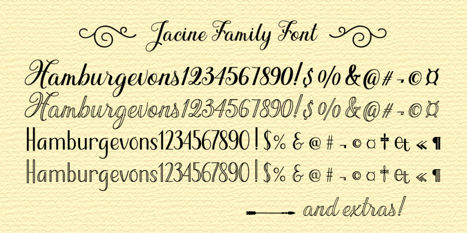 Jacine Font Family插图1